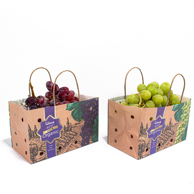 Wet Strength Kraft Fruit Paper Bags CMYK Pantone Color With Hole
