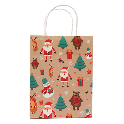 Luxury Custom Size Package Paper Handle Paper Bag Kraft Paper Shopping Bag